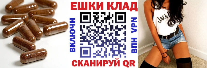 Купить закладки  Шарья  Экстази Punisher 